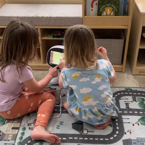 The ChatGPT Powered STEM Learning and Playing Robot