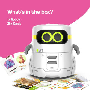 i-Learn & Play Interactive Robot