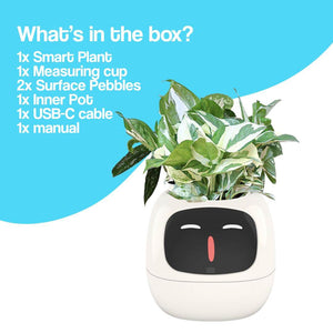 Meet Ivy - ChatGPT Powered GrowBuddy Smart Plant Care System