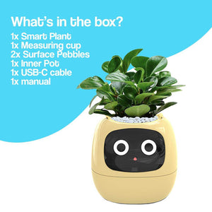 Meet Ivy - ChatGPT Powered GrowBuddy Smart Plant Care System